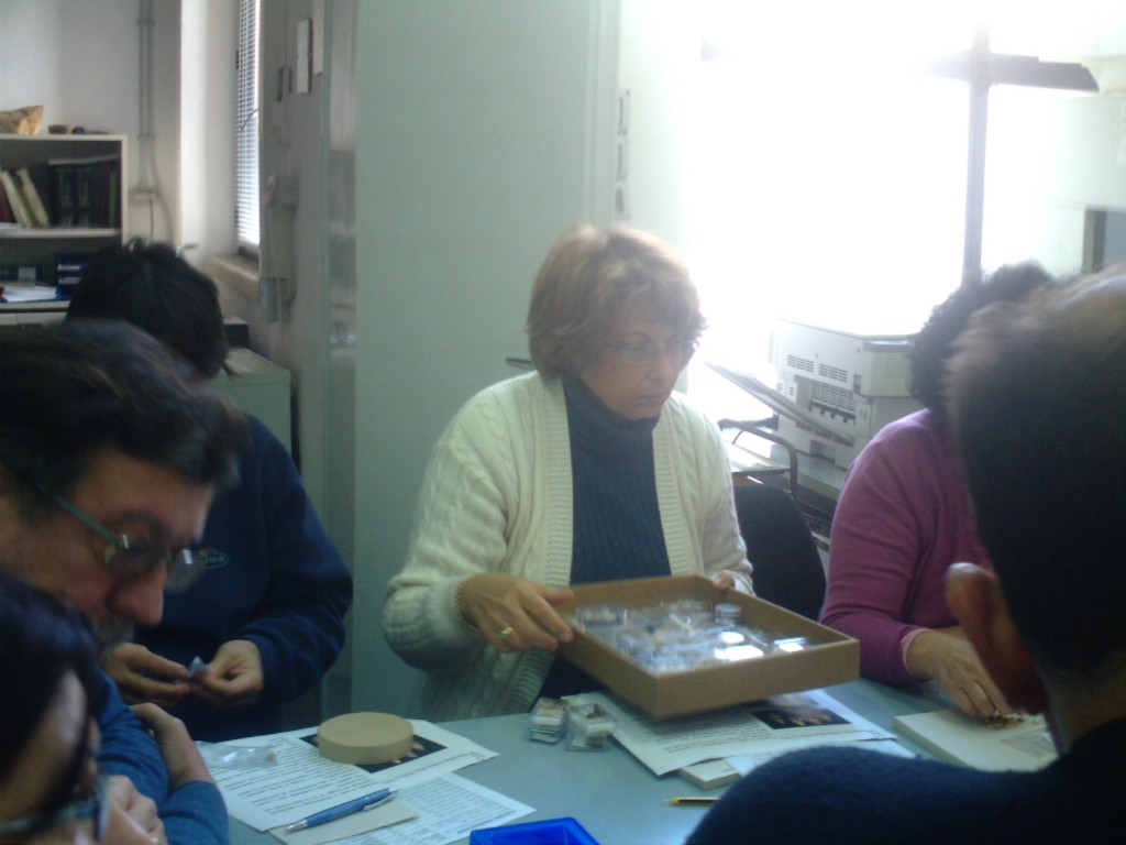 Incontro ravvicinato - Nassariidae